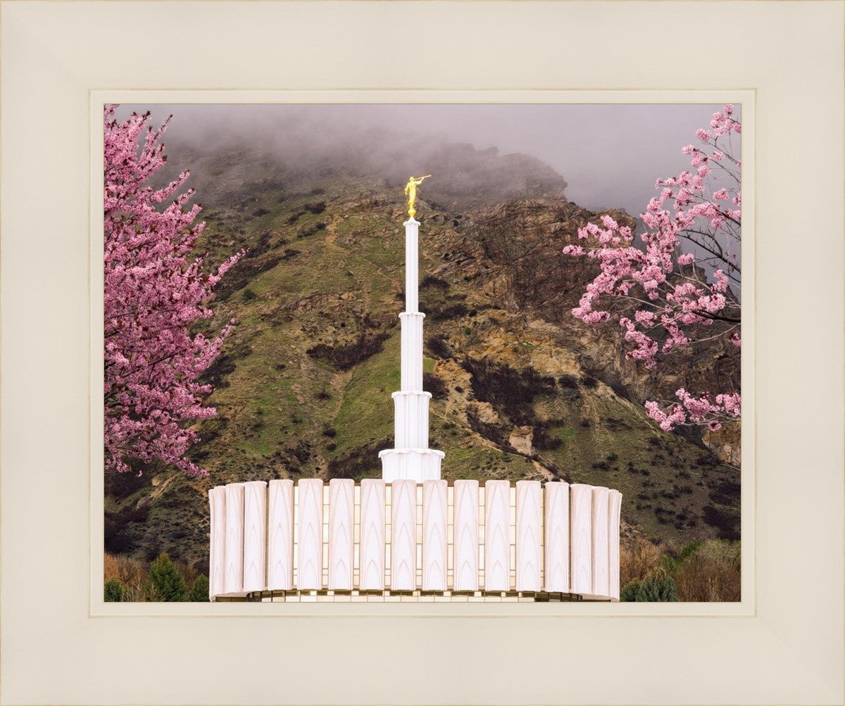 Provo Oncoming Storm