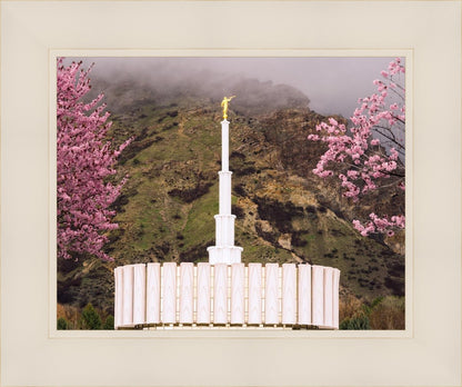 Provo Oncoming Storm