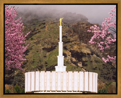 Provo Oncoming Storm