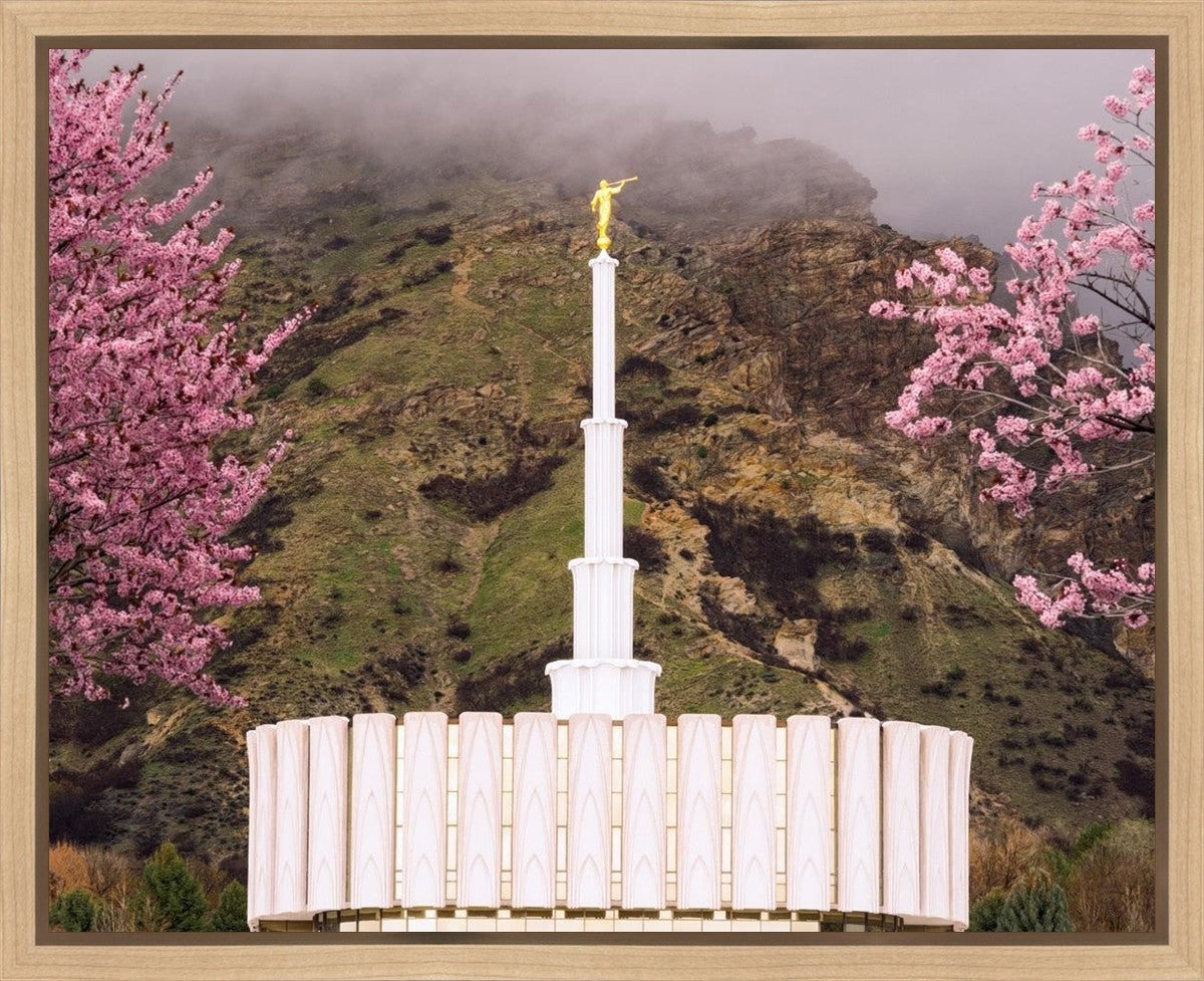 Provo Oncoming Storm