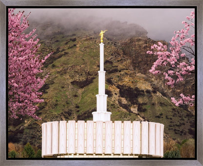 Provo Oncoming Storm