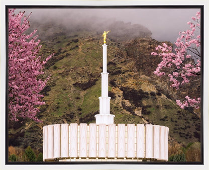 Provo Oncoming Storm