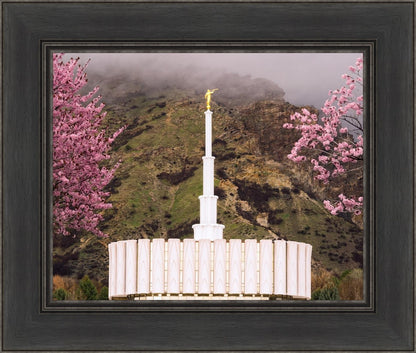 Provo Oncoming Storm