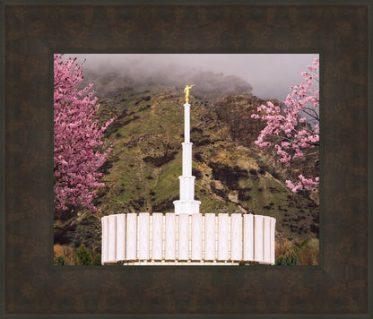 Provo Oncoming Storm