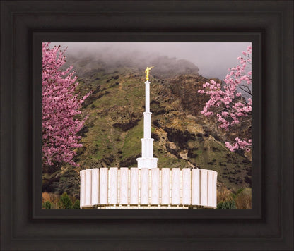 Provo Oncoming Storm