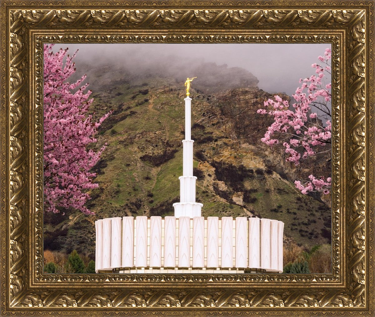 Provo Oncoming Storm