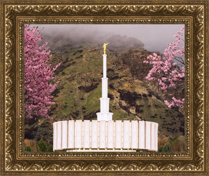 Provo Oncoming Storm