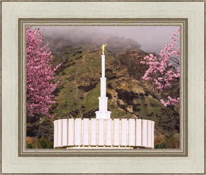 Provo Oncoming Storm