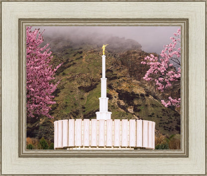 Provo Oncoming Storm