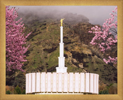 Provo Oncoming Storm