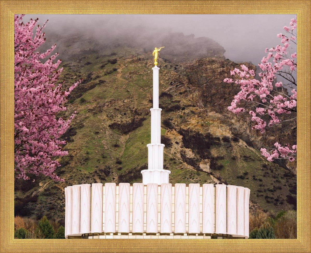 Provo Oncoming Storm