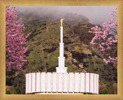 Provo Oncoming Storm