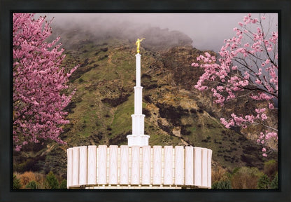 Provo Oncoming Storm Gallery Wrap