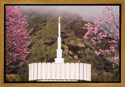 Provo Oncoming Storm Gallery Wrap