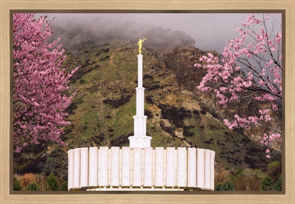 Provo Oncoming Storm Gallery Wrap