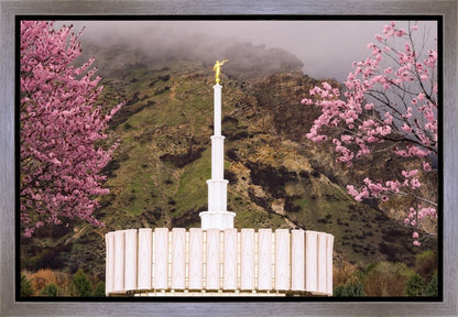 Provo Oncoming Storm Gallery Wrap