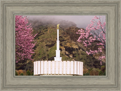 Provo Oncoming Storm