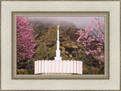 Provo Oncoming Storm