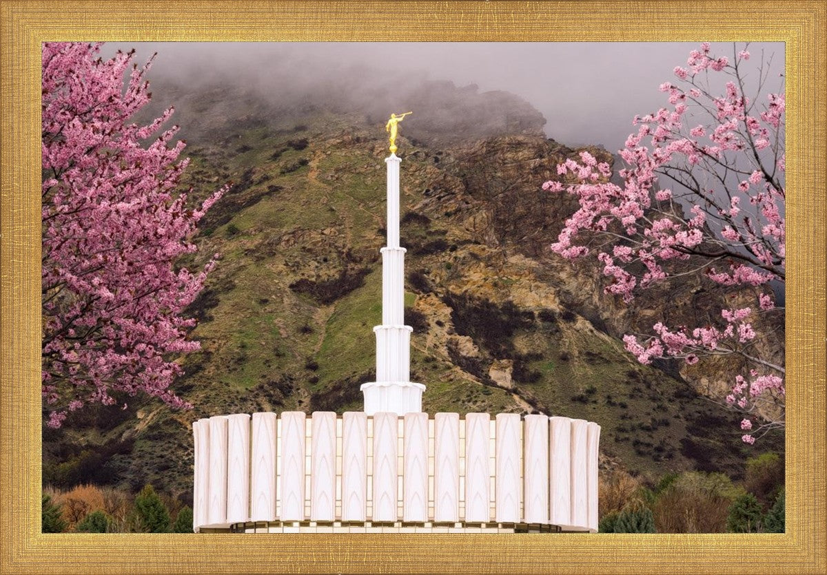 Provo Oncoming Storm