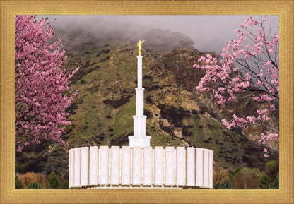 Provo Oncoming Storm