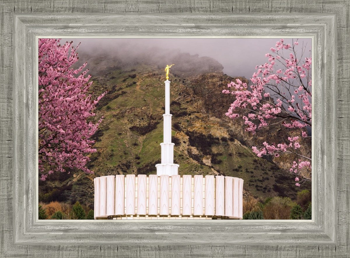 Provo Oncoming Storm