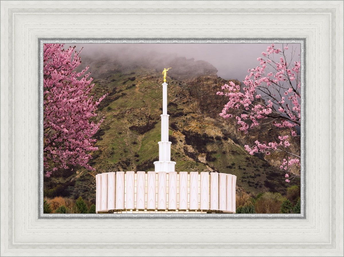 Provo Oncoming Storm