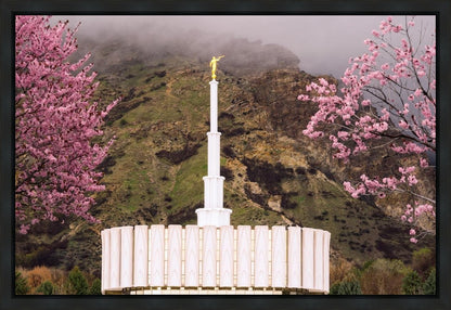 Provo Oncoming Storm Gallery Wrap