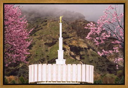 Provo Oncoming Storm Gallery Wrap