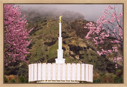 Provo Oncoming Storm Gallery Wrap