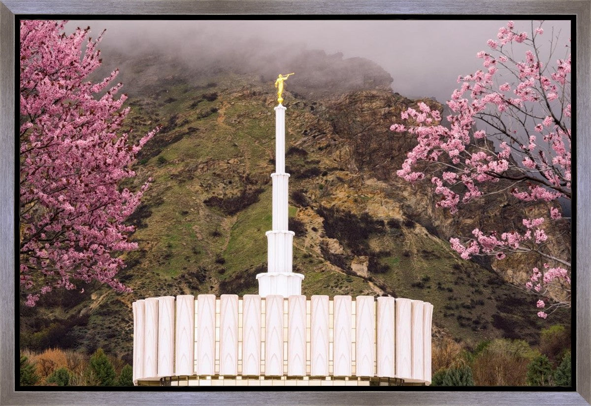 Provo Oncoming Storm Gallery Wrap