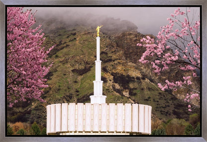 Provo Oncoming Storm Gallery Wrap