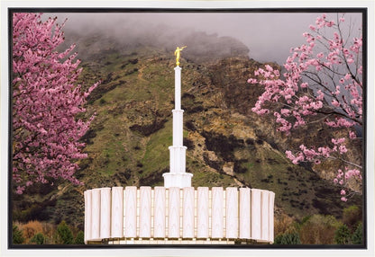 Provo Oncoming Storm Gallery Wrap