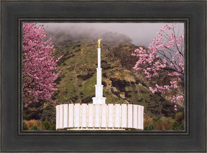 Provo Oncoming Storm