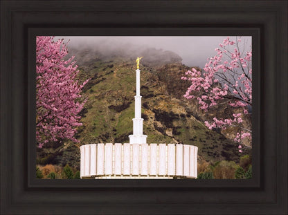 Provo Oncoming Storm