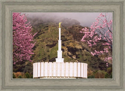 Provo Oncoming Storm