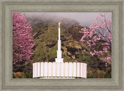 Provo Oncoming Storm