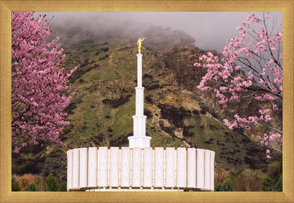 Provo Oncoming Storm