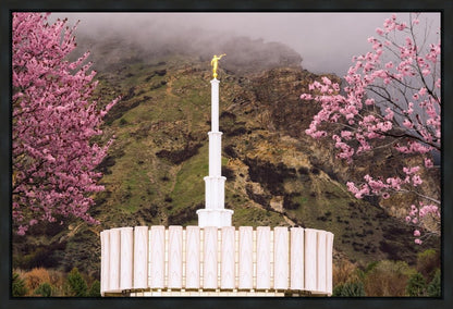 Provo Oncoming Storm Gallery Wrap