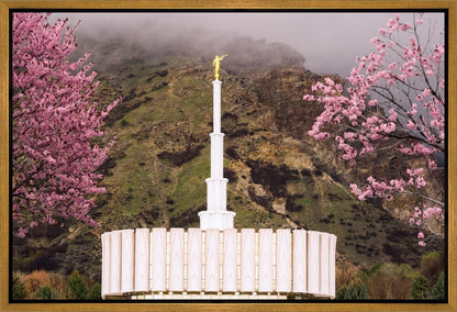 Provo Oncoming Storm Gallery Wrap