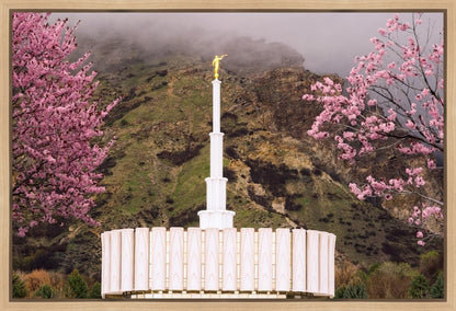 Provo Oncoming Storm Gallery Wrap