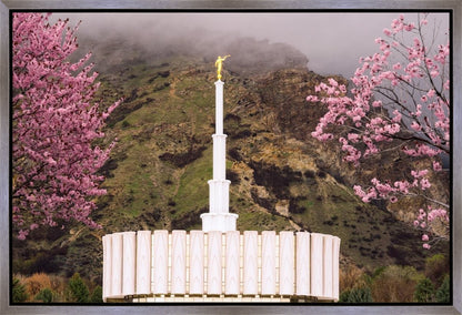 Provo Oncoming Storm Gallery Wrap