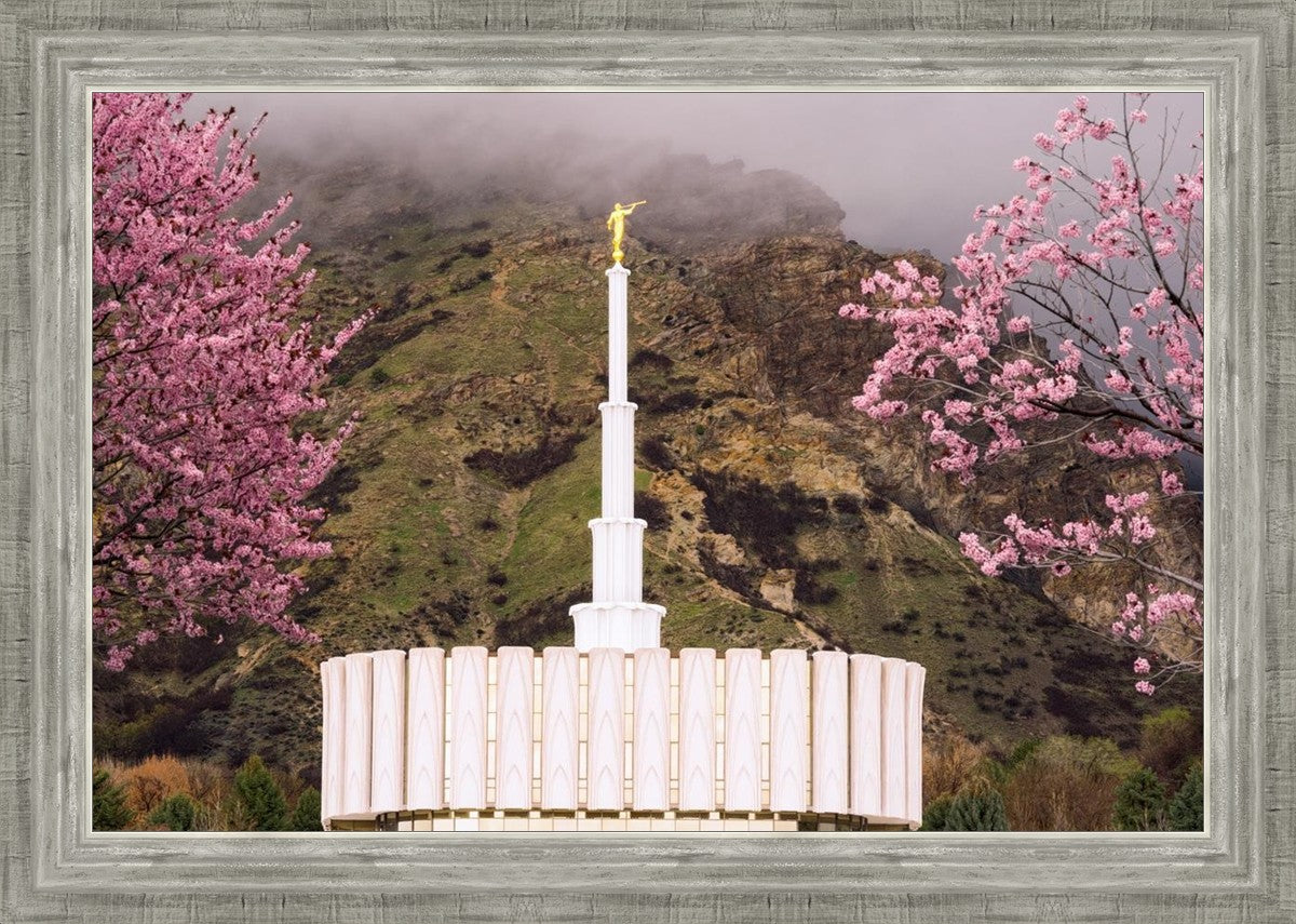 Provo Oncoming Storm