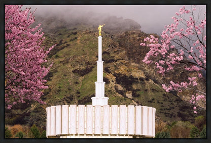 Provo Oncoming Storm Gallery Wrap