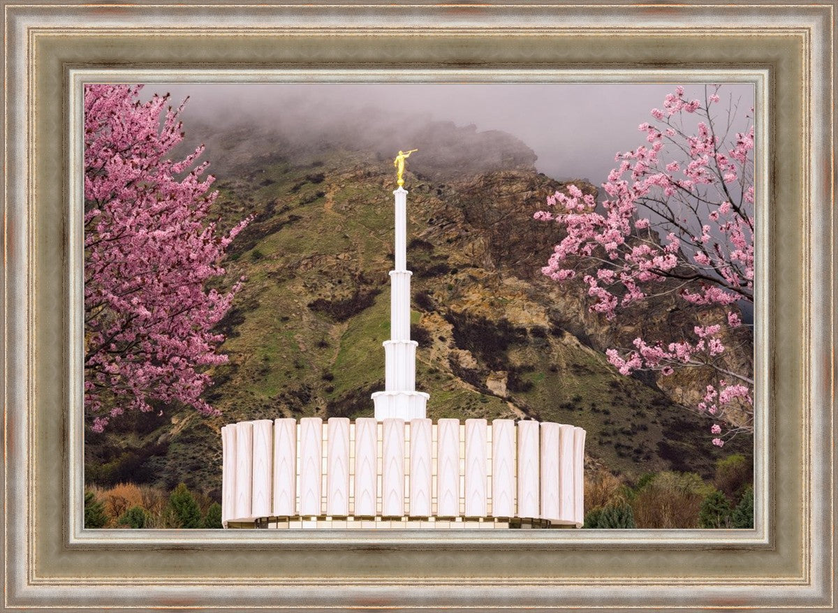 Provo Oncoming Storm