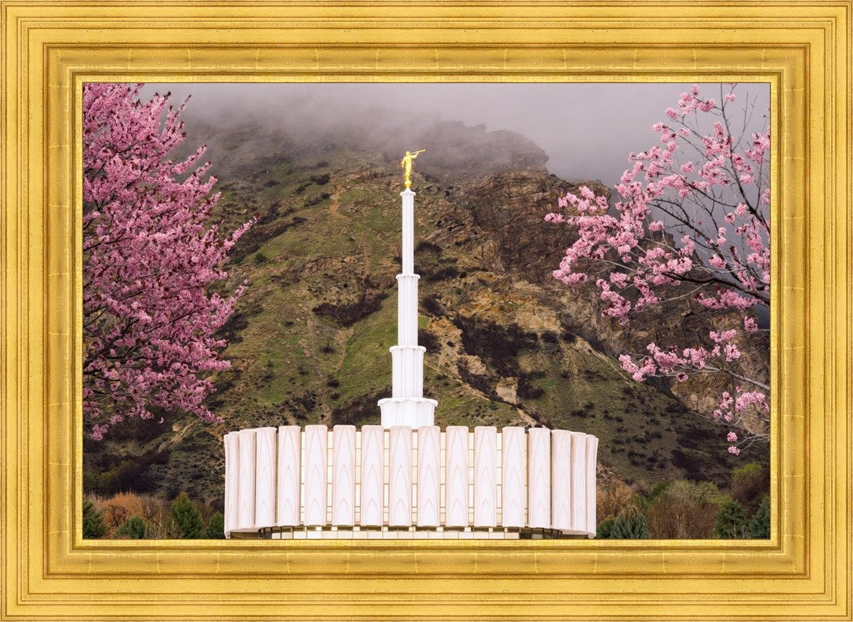 Provo Oncoming Storm