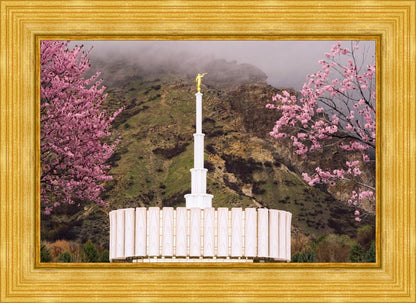 Provo Oncoming Storm