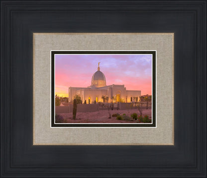 Tucson Desert Sunset