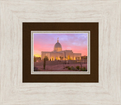 Tucson Desert Sunset