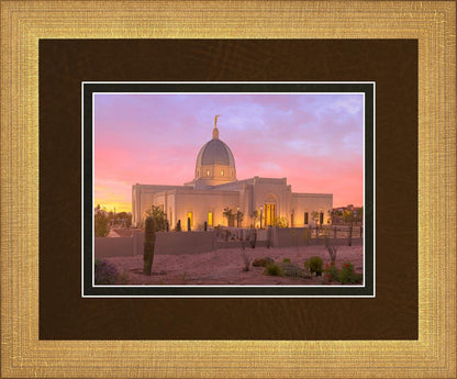 Tucson Desert Sunset