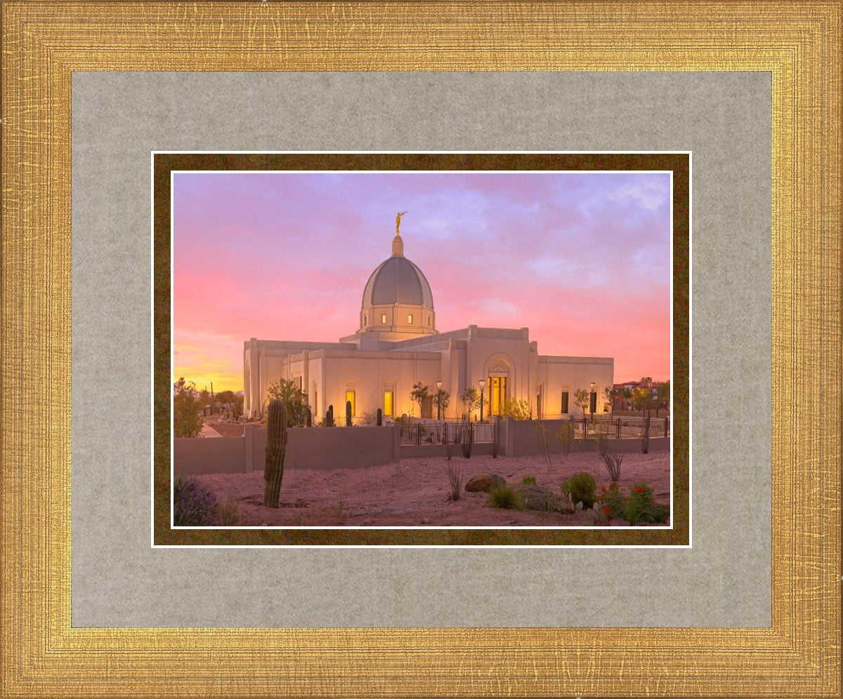 Tucson Desert Sunset